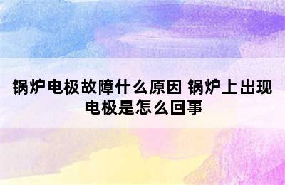 锅炉电极故障什么原因 锅炉上出现电极是怎么回事